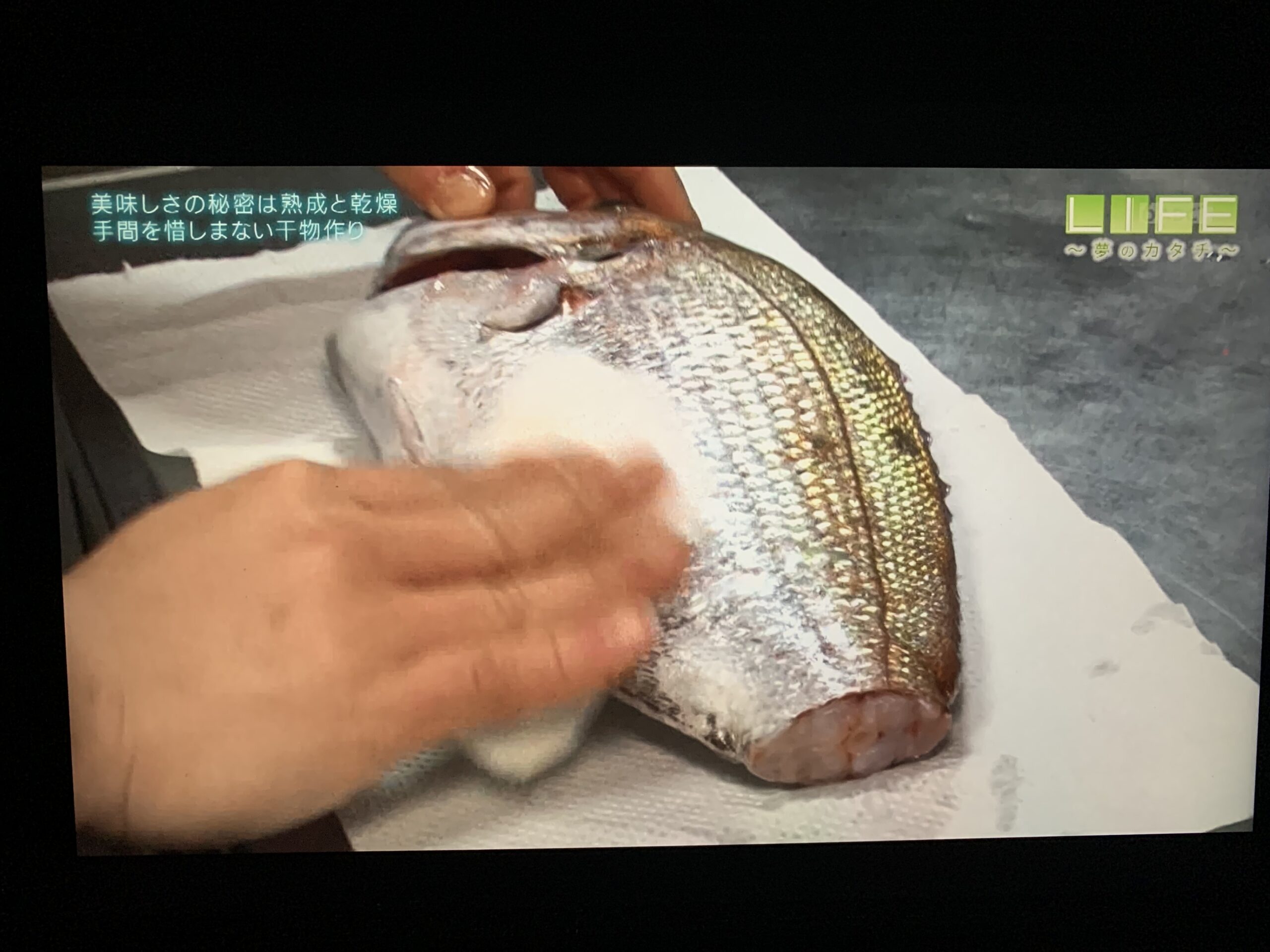 メディアにてご紹介いただきました②